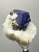Load image into Gallery viewer, Afghan Lazurite Specimen | Deep Blue Lapis-Grade Crystal on Matrix | Collector Display Mineral
