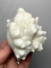 Load image into Gallery viewer, Superb White Flos Ferri Aragonite “Flower of Iron” Mineral Specimen | Lom Vitošov, Czech Republic
