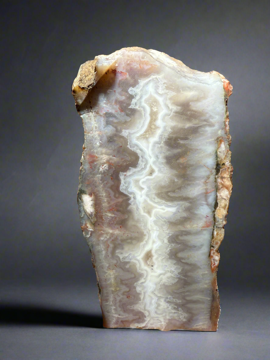 PREMIUM DISPLAY or LAPIDARY SLAB • Moroccan “Ghost Agate” White Seam Plum Agate • End Cap • High Atlas Mountains • Unpolished