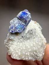 Load image into Gallery viewer, Afghan Lazurite W Afghanite Specimen | Deep Blue Lapis-Grade Crystal on Matrix | Collector Display Mineral
