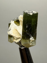Load image into Gallery viewer, Dark Green Stak Nala Tourmaline and Cleavelandite – Haramosh Mountains, Pakistan | Thumbnail Specimen
