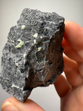 Load image into Gallery viewer, High-Grade Green Wavellite Collectors Specimen - Radiating Botryoidal Crystal Formation - Arkansas, USA
