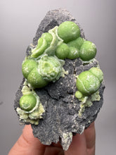 Load image into Gallery viewer, High-Grade Green Wavellite Collectors Specimen - Radiating Botryoidal Crystal Formation - Arkansas, USA

