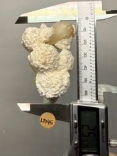 Load image into Gallery viewer, High-Grade Botryoidal Mordenite &amp; Peach Stilbite — Zeolite Mineral Specimen | Maharashtra, India
