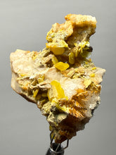 Load image into Gallery viewer, High-Grade Orange Wulfenite Collector Display Specimen | La Morita Mine, Chihuahua, Mexico
