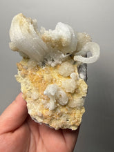 Load image into Gallery viewer, Moroccan Ram’s Horn Selenite (Gypsum) Crystal Display Specimen
