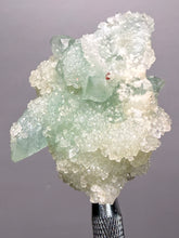 Load image into Gallery viewer, Luminous Mint Apophyllite with Glittering Druzy Sugar Quartz – India
