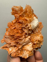 Load image into Gallery viewer, Chalcedony Quartz Rose Agate Collector Mineral Specimen – Morocco
