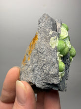 Load image into Gallery viewer, High-Grade Green Wavellite Collectors Specimen - Radiating Botryoidal Crystal Formation - Arkansas, USA
