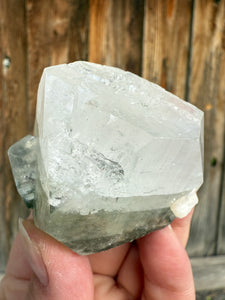 Large Sage Green Garden Apophyllite • Maharashtra, India