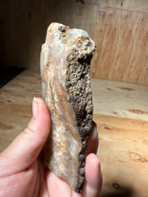 Load image into Gallery viewer, PREMIUM DISPLAY or LAPIDARY SLAB • Moroccan “Ghost Agate” White Seam Plum Agate • End Cap • High Atlas Mountains • Unpolished
