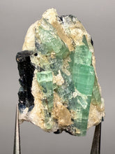 Load image into Gallery viewer, Blue Indicolite &amp; Mint Green Tourmaline on Matrix – Pegmatite Mineral Specimen from Pakistan
