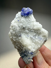 Load image into Gallery viewer, Afghan Lazurite Specimen | Deep Blue Lapis-Grade Crystal on Matrix | Collector Display Mineral
