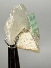 Load image into Gallery viewer, Mint Green Tourmaline on Quartz Matrix– Pegmatite Mineral Specimen from Pakistan
