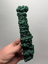 Load image into Gallery viewer, 7.1” Museum-Grade Druzy Malachite Stalactite “Cave” Formation | DR Congo | Mineral Collector Specimen
