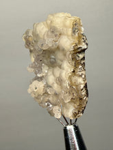 Load image into Gallery viewer, Blue-Green Chrysocolla in Botryoidal Chalcedony Cabinet Specimen | Indonesia
