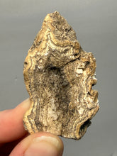 Load image into Gallery viewer, Premium Sumatra Agate (Banded Chalcedony) Display Specimen | Indonesia
