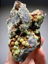 Load image into Gallery viewer, High-Grade Green Wavellite Collectors Specimen - Radiating Botryoidal Crystal Formation - Arkansas, USA
