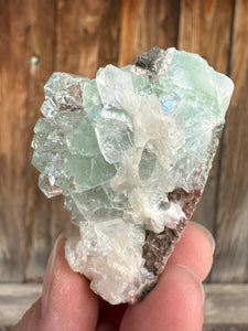 Light Mint Green Radial (Disco Ball) Apophyllite + Stilbite • Maharashtra, India