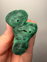Load image into Gallery viewer, 6” Druzy Malachite “Legs” Stalactites — Botryoidal Cave Formation | DR Congo  | Collector Mineral Specimen
