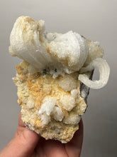 Load image into Gallery viewer, Moroccan Ram’s Horn Selenite (Gypsum) Crystal Display Specimen
