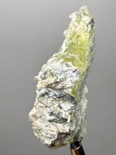 Load image into Gallery viewer, Vibrant Yellow Brucite Thumbnail Mineral Specimen | Collector Crystal from Killa Saifullah District in Balochistan Province, Pakistan
