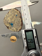 Load image into Gallery viewer, Rare Electric Blue Pentagonite on Druzy Matrix – Collector Mineral Specimen | India
