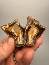 Load image into Gallery viewer, High-Grade Indonesian Sumatra Agate Pair – Vibrant Banded Chalcedony with Rich Color Zoning | Ethical Lapidary &amp; Collector Display Specimens
