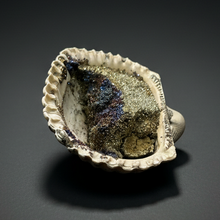 Load image into Gallery viewer, Bivalve (Pelecypoda) Fossil Sea Shell with Chalcopyrite | Mineralized Fossil Specimen | Indonesia

