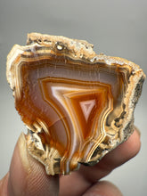 Load image into Gallery viewer, Indonesian Sumatra Agate Half – Vibrant Banded Chalcedony with Rich Color Zoning | Ethical Lapidary &amp; Collector Display Specimens
