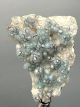 Load image into Gallery viewer, Blue-Green Chrysocolla in Botryoidal Chalcedony Cabinet Specimen | Indonesia
