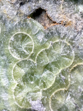Load image into Gallery viewer, High-Grade Green Wavellite Collectors Specimen - Radiating Botryoidal Crystal Formation - Arkansas, USA
