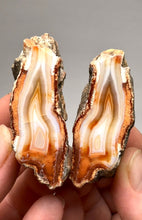 Load image into Gallery viewer, High-Grade Indonesian Sumatra Agate Pair – Vibrant Banded Chalcedony with Rich Color Zoning | Ethical Lapidary &amp; Collector Display Specimens
