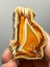 Load image into Gallery viewer, Premium Sumatra Agate (Banded Chalcedony) Display Specimen | Indonesia
