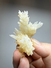 Load image into Gallery viewer, High-Grade Coral Aragonite Crystal Specimen – Wenshan Mine, Yunnan, China
