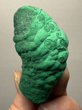 Load image into Gallery viewer, 2.5” High-Grade Malachite Stalactite “Cave” Formation | DR Congo | Mineral Collector Specimen
