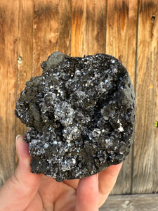 Druzy Black Apophyllite • Maharashtra, India