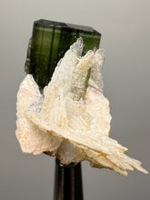 Load image into Gallery viewer, Green Cap Stak Nala Tourmaline with Cleavelandite – Haramosh Mountains, Pakistan | Thumbnail Specimen
