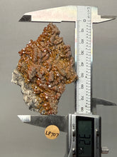 Load image into Gallery viewer, Natural Vanadinite on Matrix | Collector Mineral Specimen | Morocco
