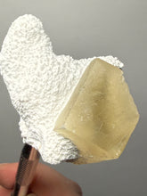Load image into Gallery viewer, Rare Druzy Golden “Diamond” Calcite on Zeolite Matrix — Maharashtra, India | Collector Cabinet Specimen
