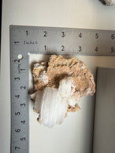 Load image into Gallery viewer, Moroccan Ram’s Horn Selenite (Gypsum) Crystal Display Specimen
