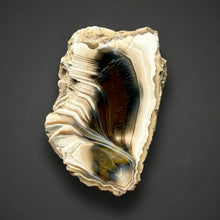 Load image into Gallery viewer, Premium Sumatra Agate (Banded Chalcedony) Display Specimen | Indonesia
