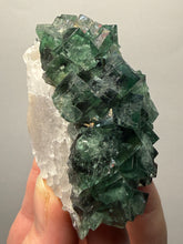 Load image into Gallery viewer, Rare Tenebrescent Color-Changing Cubic Fluorite | Hidden Forest Pocket — Diana Maria Mine, Frosterley, Weardale, County Durham, England
