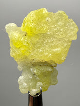 Load image into Gallery viewer, Vibrant Yellow Brucite Thumbnail Mineral Specimen | Collector Crystal from Killa Saifullah District in Balochistan Province, Pakistan
