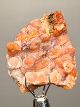 Load image into Gallery viewer, “Goblin Chalcedony” Pink &amp; Orange Druzy Botryoidal Stalactites— Tichka Massif, High Atlas, Morocco
