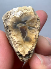 Load image into Gallery viewer, Premium Sumatra Agate (Banded Chalcedony) Display Specimen | Indonesia
