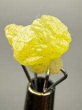 Load image into Gallery viewer, Vibrant Yellow Brucite Thumbnail Mineral Specimen | Collector Crystal from Killa Saifullah District in Balochistan Province, Pakistan

