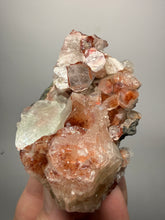 Load image into Gallery viewer, Rare Red + Green Apophyllite Crystal Cluster – High Grade Collector Mineral Specimen | India
