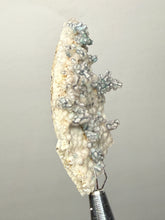 Load image into Gallery viewer, Blue-Green Chrysocolla in Botryoidal Chalcedony Cabinet Specimen | Indonesia
