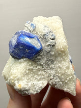Load image into Gallery viewer, Afghanite &amp; Lazurite on Matrix Collector Display Specimen | Badakhshan Region, Afghanistan
